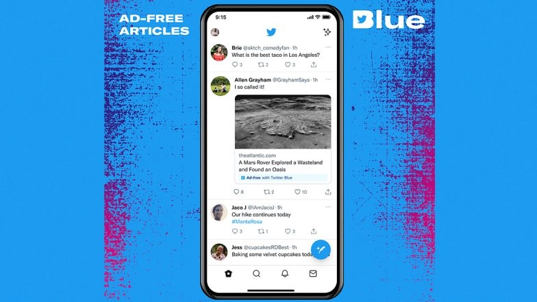 Twitter Blue Subscription 