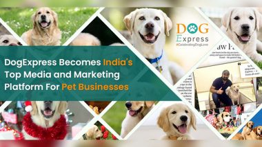 DogExpress Emerges as Top Media And Marketing Platform For Pet Businesses