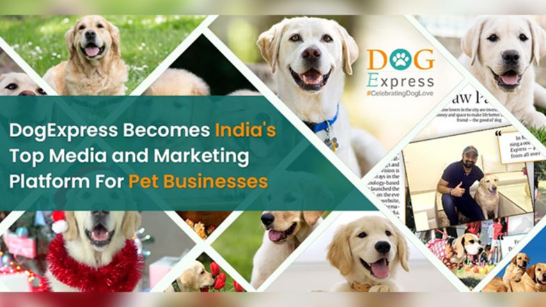 DogExpress Emerges as Top Media And Marketing Platform For Pet Businesses - Quick Telecast