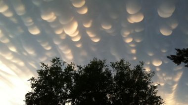 Mammatus Clouds Above Argentina Stun Residents, Photos and Videos of the Rare Sky Goes Viral! (Check Posts)