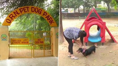 Delhi Opens Dog Park in Old Rajinder Nagar With Swings, Other Equipment Installed for Pet Dogs