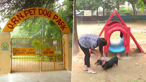 Delhi Opens Dog Park in Old Rajinder Nagar With Swings, Other Equipment Installed for Pet Dogs