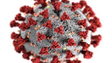 Health News | Unstable Housing, Homelessness Associated with COVID-19 Re-infection: Study