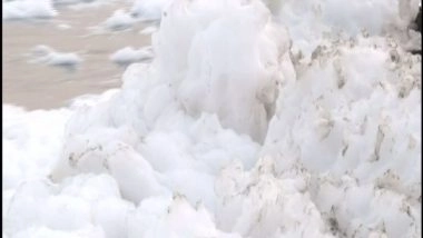 India News | Another Day, Another Frothing in Yamuna River at Delhi's Kalindi Kunj