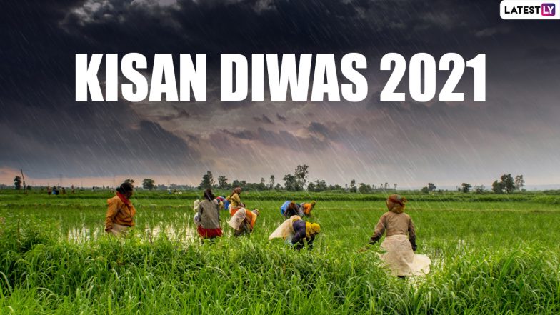 Kisan Diwas 2021 Greetings: Happy Farmer's Day Wishes, Quotes, Posters And Messages to Honour the Hard Work of Farmers Across the Nation  