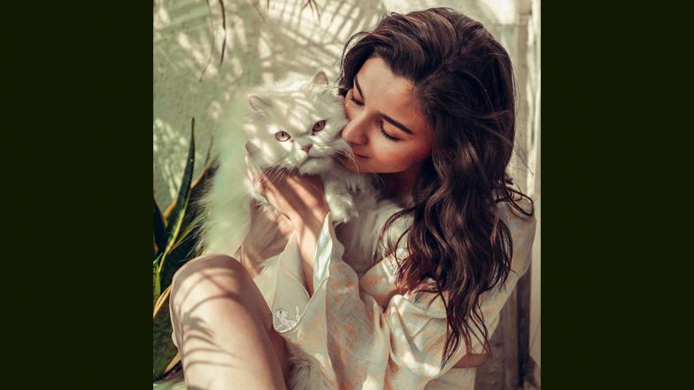 784px x 441px - Alia Bhatt Named as PETA 2021 Person of the Year for Her Work in Support of  an Animal-Friendly Fashion Industry | ðŸŽ¥ LatestLY