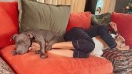 Samantha Ruth Prabhu Listens To &lsquo;Last Christmas I Gave You My Heart&rsquo; While Lazying Around With Her Pets (View Pics and Video)