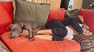 Samantha Ruth Prabhu Listens To ‘Last Christmas I Gave You My Heart’ While Lazying Around With Her Pets (View Pics and Video)