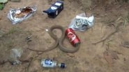 Cobra&rsquo;s Head Gets Stuck in Beer Can in Odisha, Viral Video Shows Wildlife Experts Rescuing the Snake!