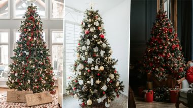 Last-Minute DIY Christmas Tree 2021 Decoration Ideas: 5 Ways to Decorate Xmas Trees to Make Your Home Merry and Bright (Watch Videos)