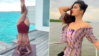 Aashka Goradia Shows Off Her Yoga Skills as She Goes Topless in Her Latest Instagram Post! (View Pic)