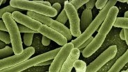 Science News | New Research Moves Closer to Harnessing Viruses to Fight Bacteria and Reduce Antibiotic Use