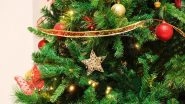 Christmas Tree Decoration Ideas 2021: Celebrate the Big Festival by Decorating Your XMas Tree With These Easy and Exciting Video Tips!