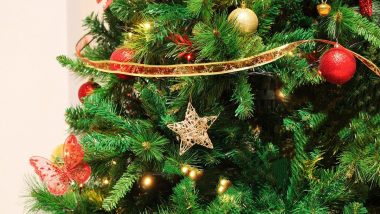 Christmas Tree Decoration Ideas 2021: Celebrate the Big Festival by Decorating Your XMas Tree With These Easy and Exciting Video Tips!