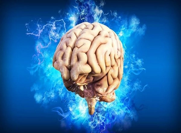 Science News | Researchers Explain Reason for Placement of Lesions in Brain