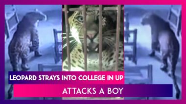 Uttar Pradesh: Leopard Strays Into College Building In Aligarh, Attacks A Boy