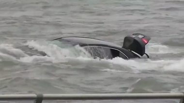 Woman Dies After Her Car Was Submerged Steps Away From Niagara Falls; Watch Video of Rescue Effort