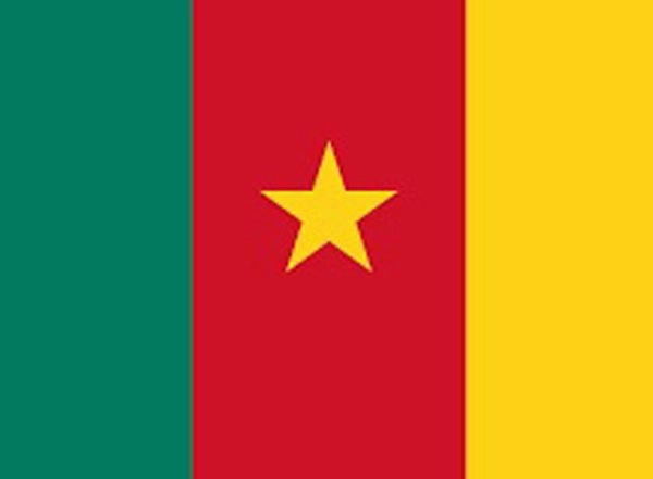 World News | At Least 19 Killed in Ethnic Clashes in Cameroon's Far North Region