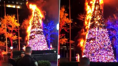 Shocking Video: Fox News Christmas Tree is Set On Fire in New York City