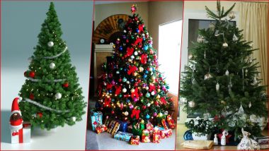 Real vs Artificial Christmas Tree: This Christmas 2021, Choose Your Xmas Tree Wisely by Understanding Both Pros and Cons