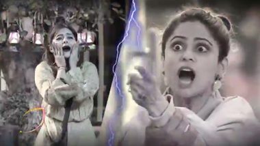 Bigg Boss 15: Netizens Slam Devoleena Bhattacharjee After Shamita Shetty Faints During an Ugly Fight With Her