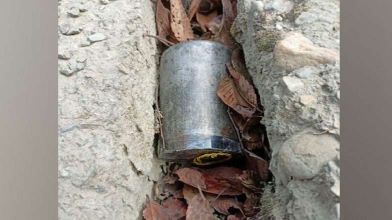 Jammu and Kashmir: BSF Detects, Destroys Explosive Found Near Road Leading from Kupwara to Kalarose