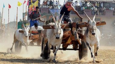 Kerala: Police Arrest Six in Palakkad District For Conducting Illegal Bullock Cart Race After Complaint From PETA