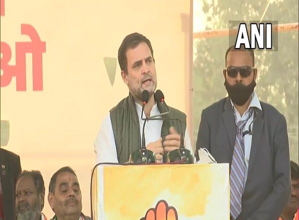 India News | Rahul Gandhi to Visit His Lok Sabha Constituency in Kerala