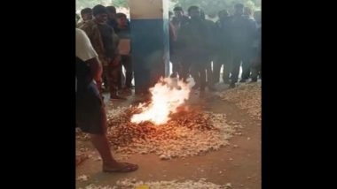 India News | MP: Upset over Not Getting Fair Price for His Produce, Farmer Sets 1 Quintal of Garlic on Fire in Ujjain