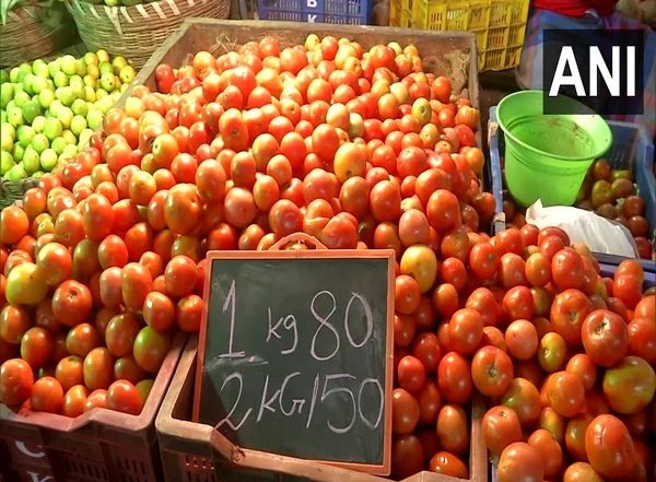 Tomato Prices Shoot Up to Rs 120 per KG in Southern States Due to Incessant Rains