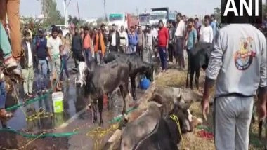 India News | MP: Truck Seized for Illegally Transporting Cattle in Jabalpur
