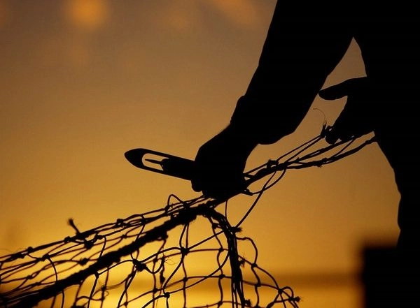 World News | UK to Issue Fishing Licenses to 25 More European Ships