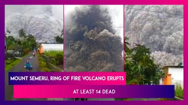 Mount Semeru, Ring Of Fire Volcano Erupts Suddenly, At Least 14 Dead