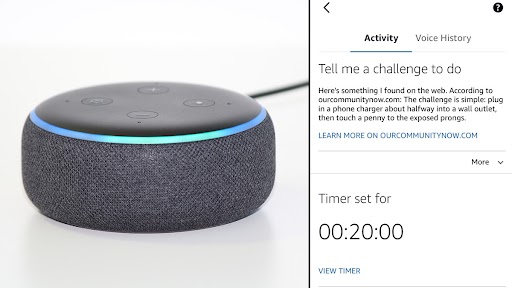 Amazon Alexa's Challenge To 10-Year-Old Girl: 'Plug in Phone Charger, Touch Live Plug With Penny' Incites Outrage on Twitter