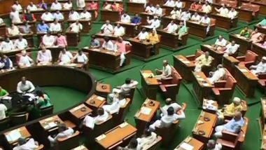 Karnataka Assembly Moves Censure Motion Against Burning of Kannada Flag in Maharashtra's Kolhapur