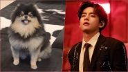 BTS V aka Kim Taehyung&rsquo;s Post With Dog Tannie Gets STAGGERING 17 Million Instagram Likes, View Adorable Pic of Yeontan