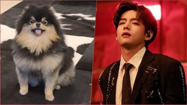 BTS V aka Kim Taehyung’s Post With Dog Tannie Gets STAGGERING 17 Million Instagram Likes, View Adorable Pic of Yeontan