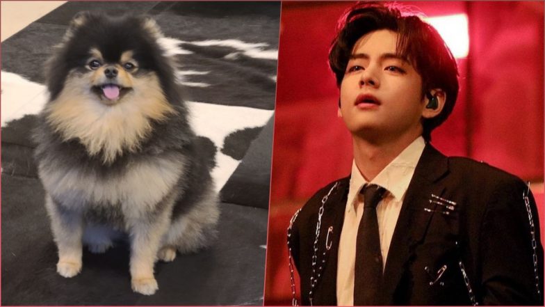 BTS V aka Kim Taehyung’s Post With Dog Tannie Gets STAGGERING 17 Million Instagram Likes, View Adorable Pic of Yeontan