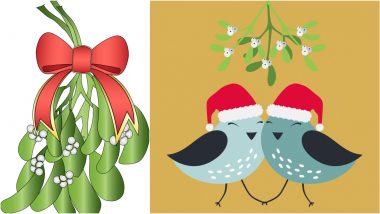 Ready To Kiss Under the Mistletoe on Christmas 2021? What Is Mistletoe and How the Tradition Started? Know Origin and Significance