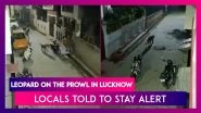 Leopard On The Prowl In Lucknow's Kalyanpur, Locals Told To Stay Alert