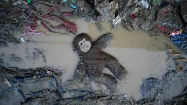 World News |  Toll from Typhoon Rai in Philippines Exceeds 30