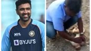 Ravi Ashwin Reacts After Man Saves Macaque Using First Aid Techniques, Says &lsquo;There is Hope&rsquo; (Watch Video)