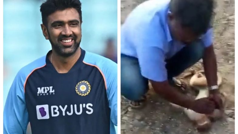 Ravi Ashwin Reacts After Man Saves Macaque Using First Aid Techniques, Says ‘There is Hope’ (Watch Video)