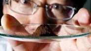 World News | China Corners Rare-earth Market with State-owned Mega-enterprise
