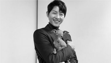 Song Joong-ki Poses With Puppy in New Instagram Post, Ki Aile Go Bananas Over Korean Star’s Cute Avatar