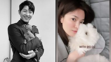 After Song Joong-ki, Song Hye-Kyo Makes Fan Go Gaga by Posing Adorably With Pupper on Instagram (View Pics)