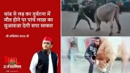 Akhilesh Yadav's Tweet On 'Rs 5 Lakh Compensation For Death by Bull' Sparks Memefest, Users Share Funny Posts And Videos