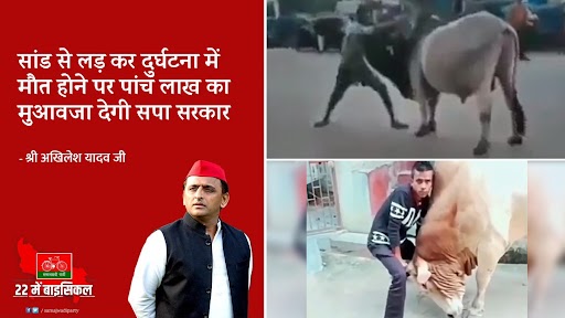 Akhilesh Yadav's Tweet On 'Rs 5 Lakh Compensation For Death by Bull' Sparks Memefest, Users Share Funny Posts And Videos