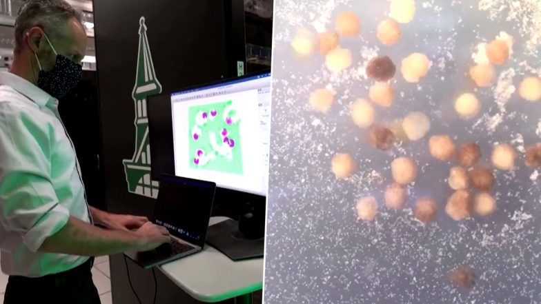 'Pac-Man' Living Robots Capable of Self-Replication (Watch Video)