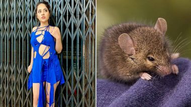 Urfi Javed Trolls Her Latest Blue Cobweb Look, Blames the Designer for Being Style Culprit in a Hilarious Post!